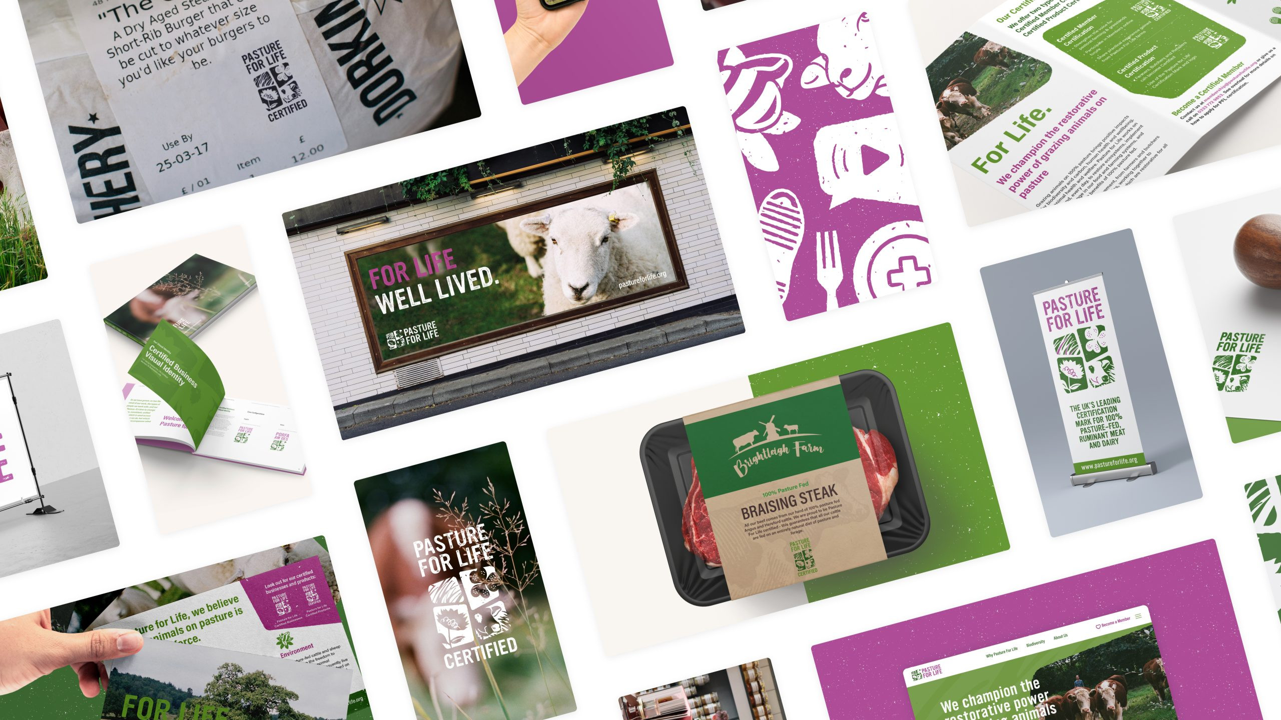 PFLA Brand Identity assets